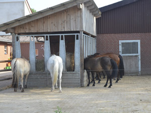 Aktivstall